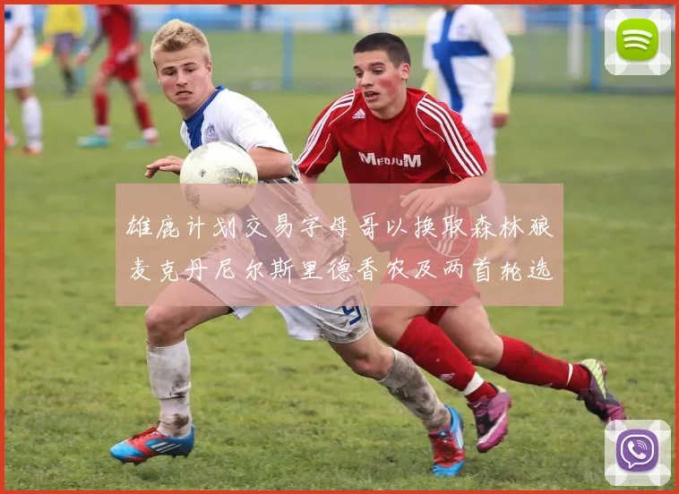 雄鹿计划交易字母哥以换取森林狼麦克丹尼尔斯里德香农及两首轮选秀权